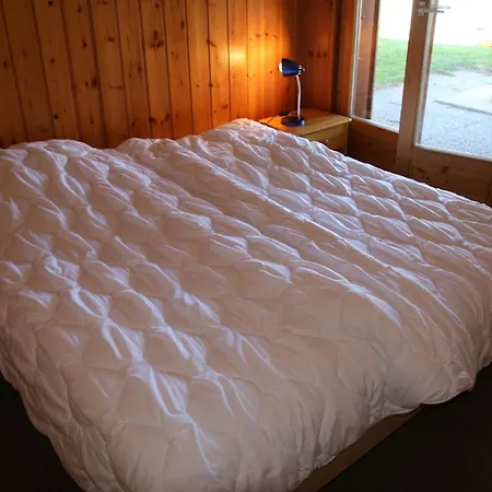 Chalet Fontannets 001 Cosy & Mountain Chalet 10 Pers Veysonnaz